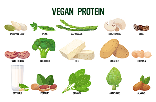Les protéines vegan